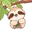 Kawaiisloth.Com